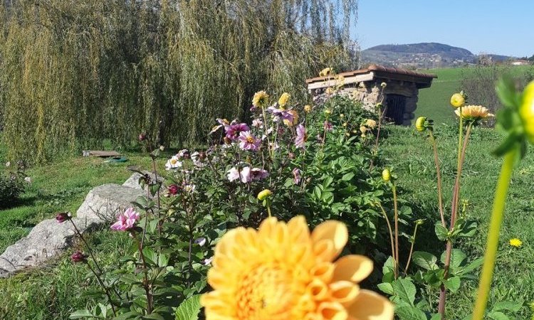 Notre auberge à Brullioles. Auberge Relais du Pitaval